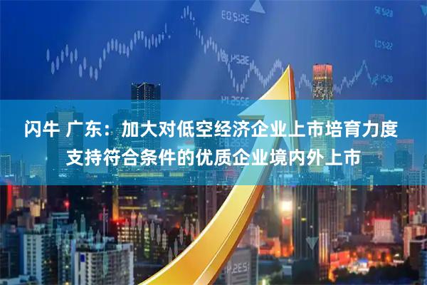 闪牛 广东：加大对低空经济企业上市培育力度 支持符合条件的优质企业境内外上市